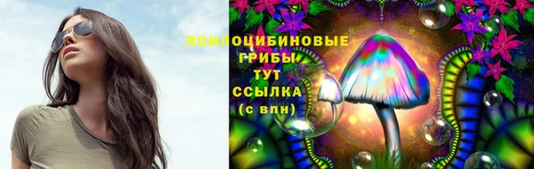 ешки Алексин