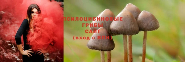 ешки Алексин