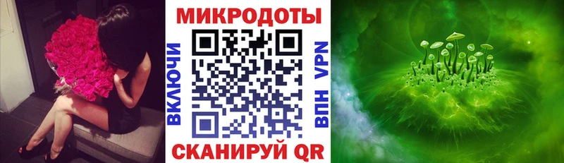 Псилоцибиновые грибы Psilocybine cubensis Новосиль